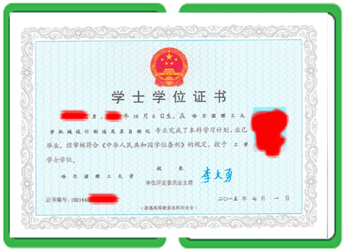 大专毕业证仿制标准版